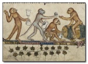 monkeysdrinkingbodleanms